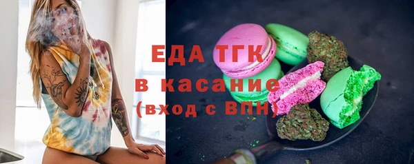 индика Верхний Тагил